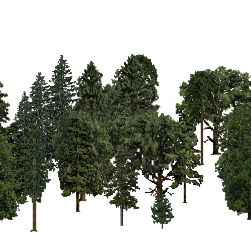 Screenshot of European Forest, Continental, Mixed