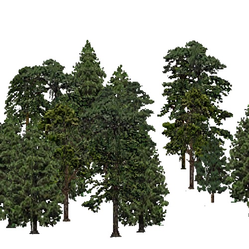 Screenshot of European Forest, Macaronesia, Conifer