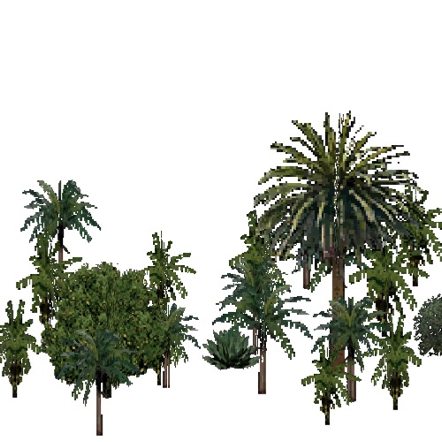 Screenshot of European Forest, Macaronesia, Fruit