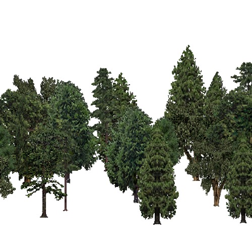 Screenshot of European Forest, Macaronesia, Mixed