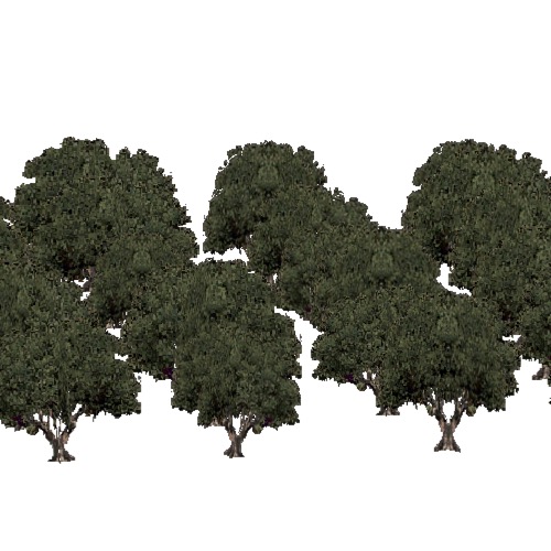 Screenshot of European Forest, Macaronesia, Olive