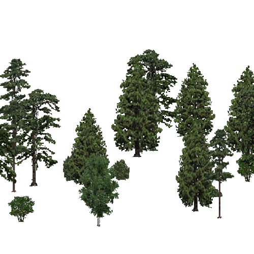 Screenshot of European Forest, Macaronesia, Shrub