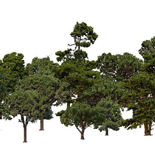 Screenshot of European Forest, Mediterranean, Conifer