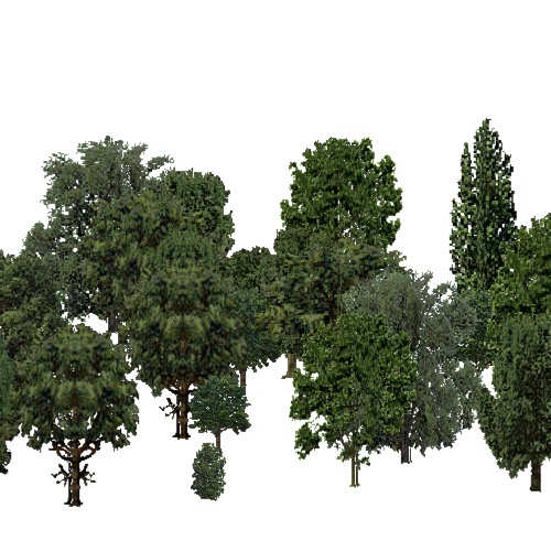 Screenshot of European Forest, Pannonian, Broad Leaf