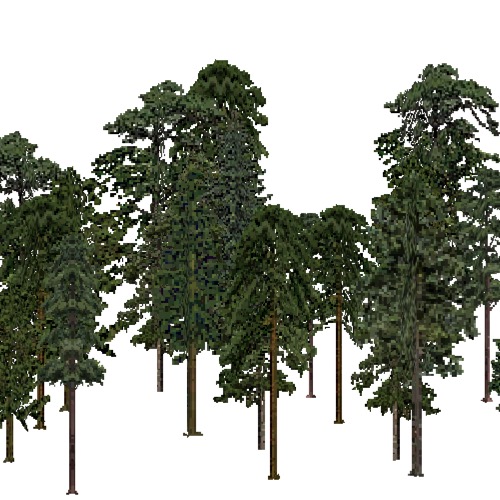 Screenshot of European Forest, Pannonian, Conifer