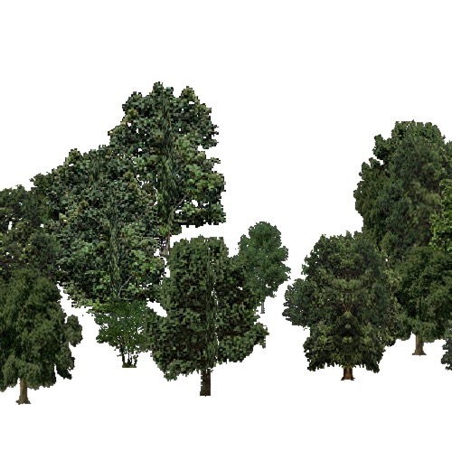 Screenshot of European Forest, Steppic, Broad Leaf