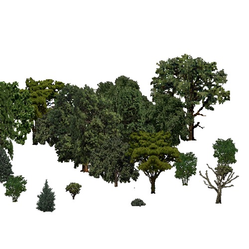 Screenshot of European Forest, Steppic, Shrub