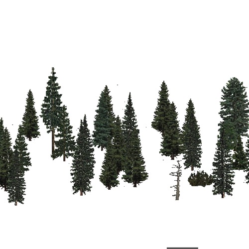 Screenshot of USA Forest, Adirondack New England, Evergreen Sparse