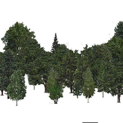Screenshot of USA Forest, Adirondack New England, Mixed Dense