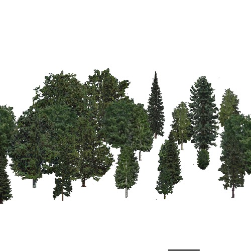 Screenshot of USA Forest, Adirondack New England, Mixed Sparse