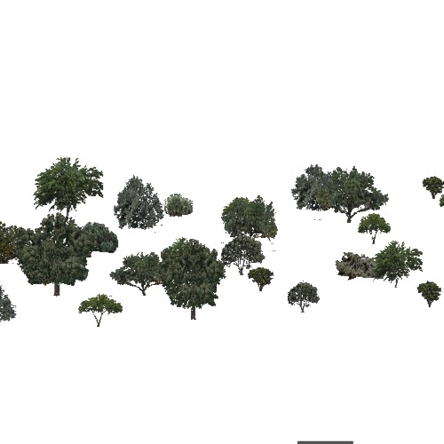 Screenshot of USA Forest, American Semi Desert And Desert, Deciduous Dense