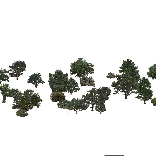 Screenshot of USA Forest, American Semi Desert And Desert, Mixed Dense