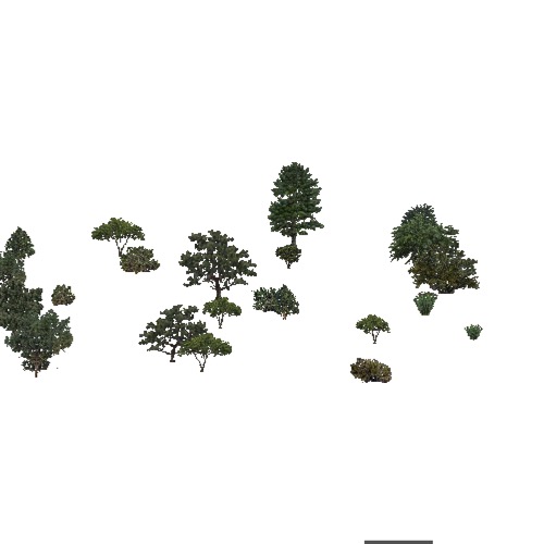 Screenshot of USA Forest, American Semi Desert And Desert, Mixed Sparse