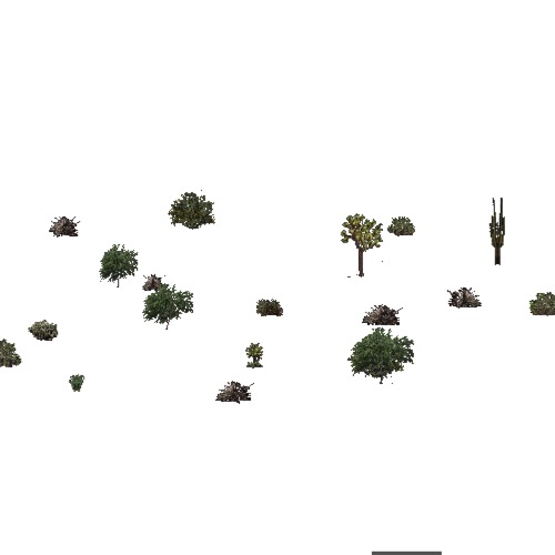 Screenshot of USA Forest, American Semi Desert And Desert, Shrub