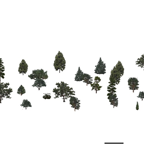 Screenshot of USA Forest, Arizona New Mexico, Evergreen Sparse