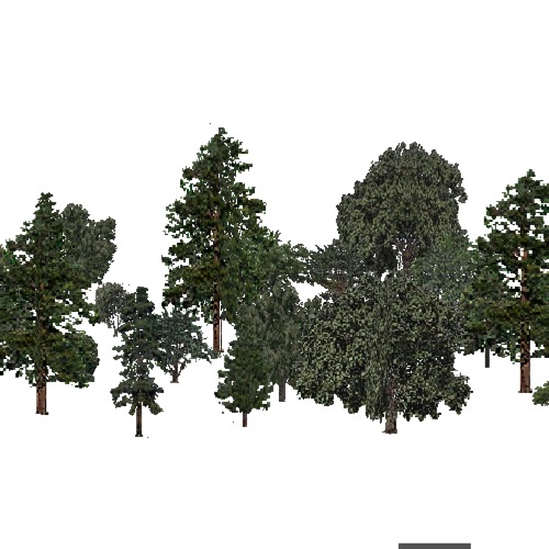 Screenshot of USA Forest, Arizona New Mexico, Mixed Dense