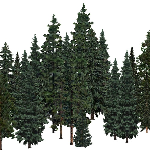 Screenshot of USA Forest, Black Hills, Evergreen Dense