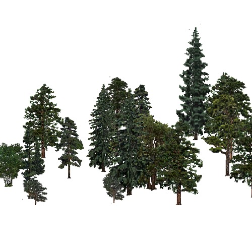 Screenshot of USA Forest, Black Hills, Evergreen Sparse