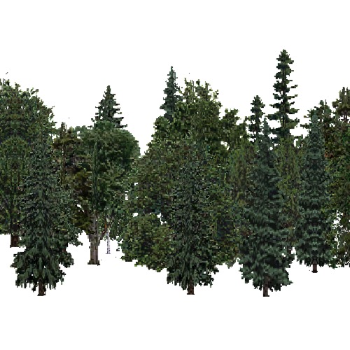 Screenshot of USA Forest, Black Hills, Mixed Dense