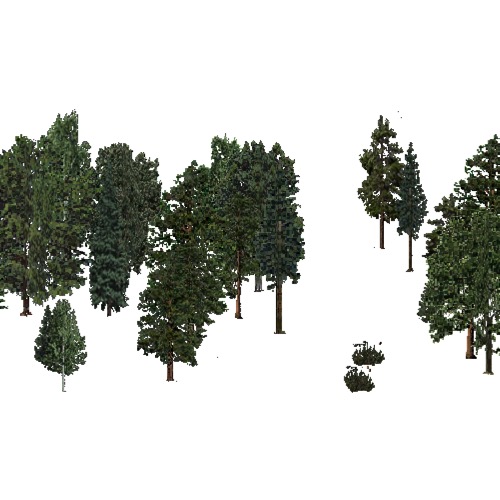 Screenshot of USA Forest, Black Hills, Mixed Sparse