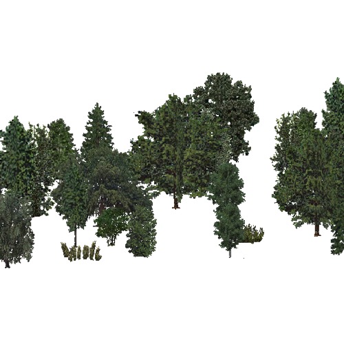 Screenshot of USA Forest, Black Hills, Woodywetland