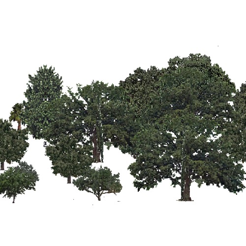 Screenshot of USA Forest, California Coastal Chapparra, Deciduous Dense