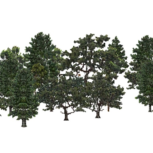 Screenshot of USA Forest, California Coastal Chapparra, Evergreen Dense