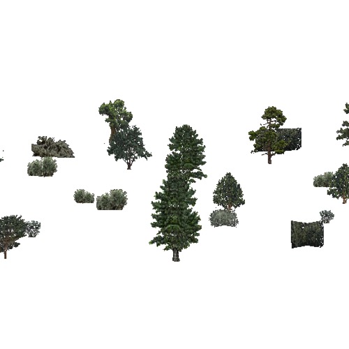 Screenshot of USA Forest, California Coastal Chapparra, Evergreen Sparse