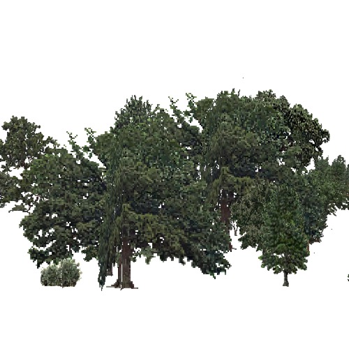 Screenshot of USA Forest, California Coastal Chapparra, Mixed Dense