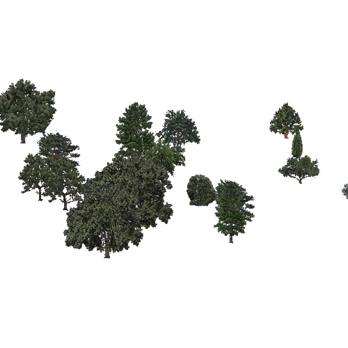 Screenshot of USA Forest, California Coastal Chapparra, Mixed Sparse