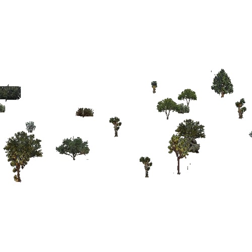 Screenshot of USA Forest, California Coastal Chapparra, Shrub