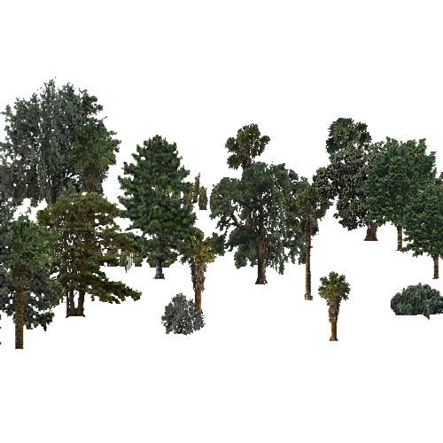 Screenshot of USA Forest, California Coastal Chapparra, Woodywetland