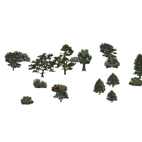 Screenshot of USA Forest, California Coastal Range, Evergreen Sparse