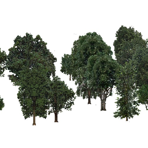 Screenshot of USA Forest, California Coastal Redwood, Deciduous Dense