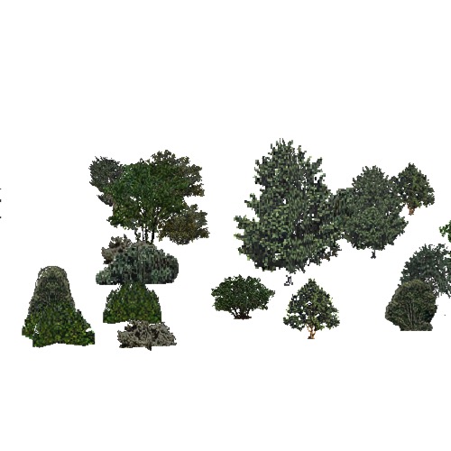 Screenshot of USA Forest, California Coastal Redwood, Shrub