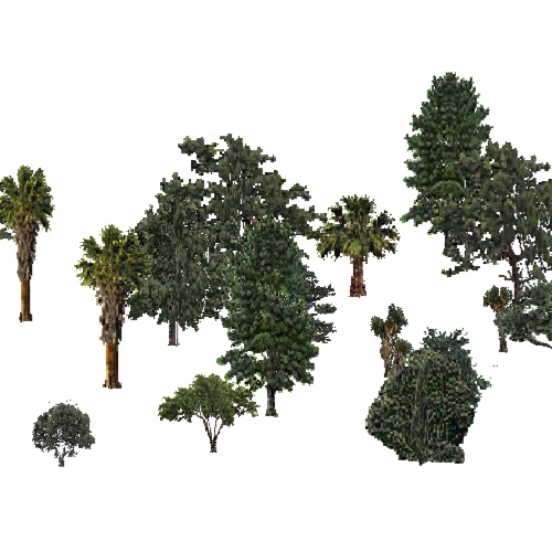 Screenshot of USA Forest, California Dry Steppe, Mixed Dense