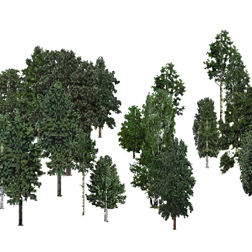 Screenshot of USA Forest, Cascade, Deciduous Dense