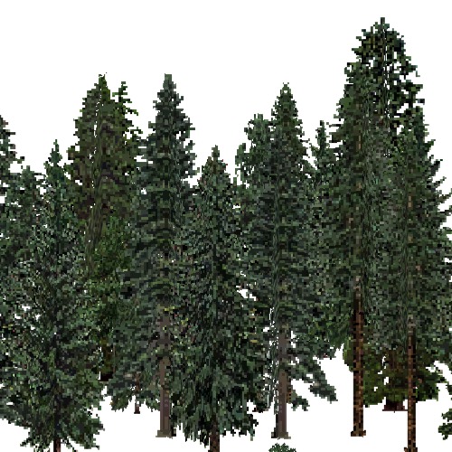 Screenshot of USA Forest, Cascade, Evergreen Dense