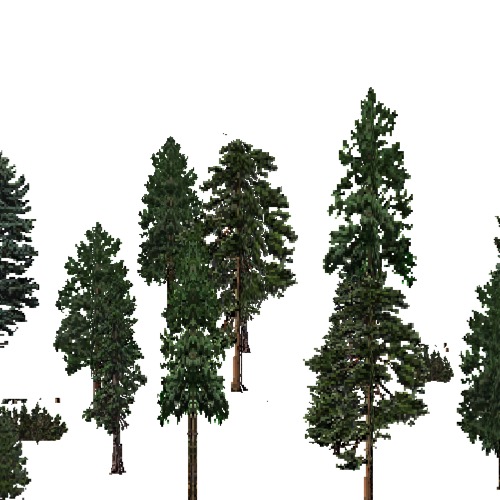 Screenshot of USA Forest, Cascade, Evergreen Sparse