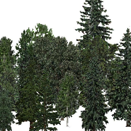 Screenshot of USA Forest, Cascade, Mixed Dense