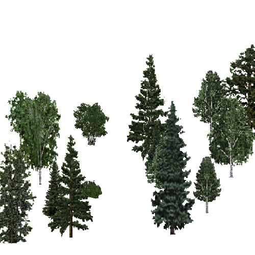 Screenshot of USA Forest, Cascade, Mixed Sparse