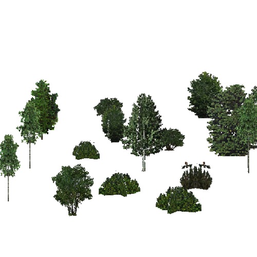 Screenshot of USA Forest, Cascade, Shrub