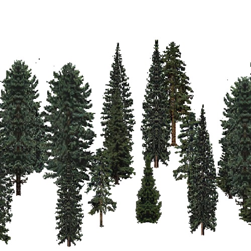 Screenshot of USA Forest, Central Appalachian, Evergreen Sparse