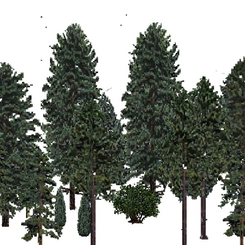 Screenshot of USA Forest, Eastern Continental, Evergreen Dense
