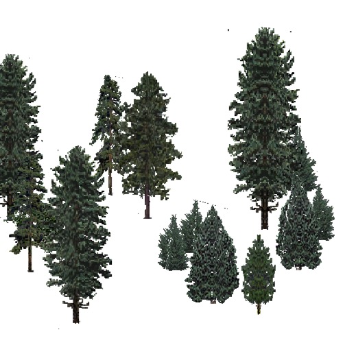 Screenshot of USA Forest, Eastern Continental, Evergreen Sparse