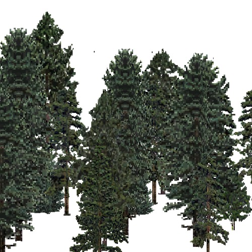 Screenshot of USA Forest, Eastern Oceanic, Evergreen Dense