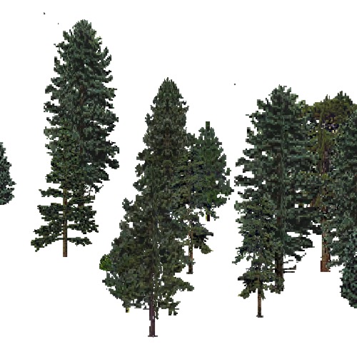 Screenshot of USA Forest, Eastern Oceanic, Evergreen Sparse