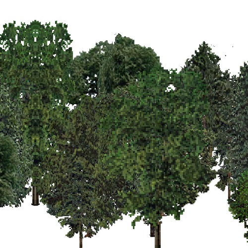 Screenshot of USA Forest, Eastern Oceanic, Mixed Dense