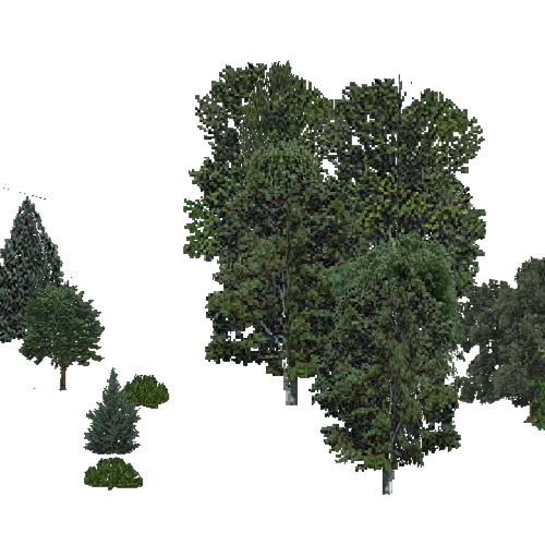 Screenshot of USA Forest, Eastern Oceanic, Mixed Sparse