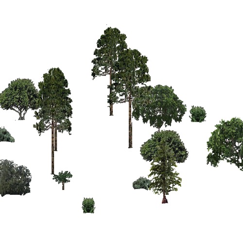 Screenshot of USA Forest, Everglades, Evergreen Sparse